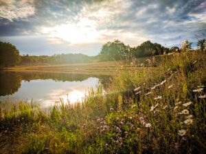 fishing pond and pretty flowers at saint avit loisirs