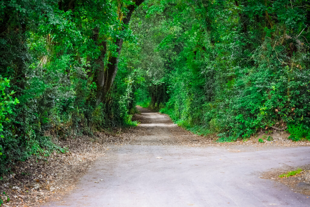 Green, nature paths at camping la garangeoire