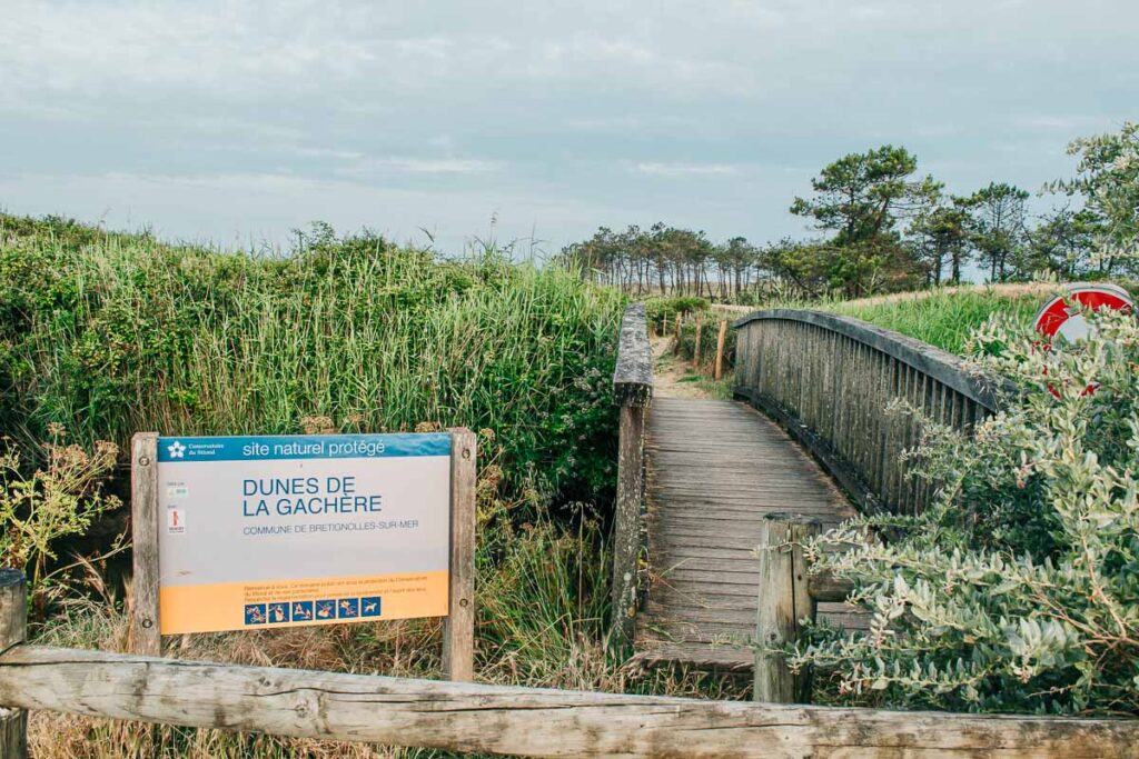 Dunes de la gachere the route to the beach from Camping de l'ocean Brem Sur Mer