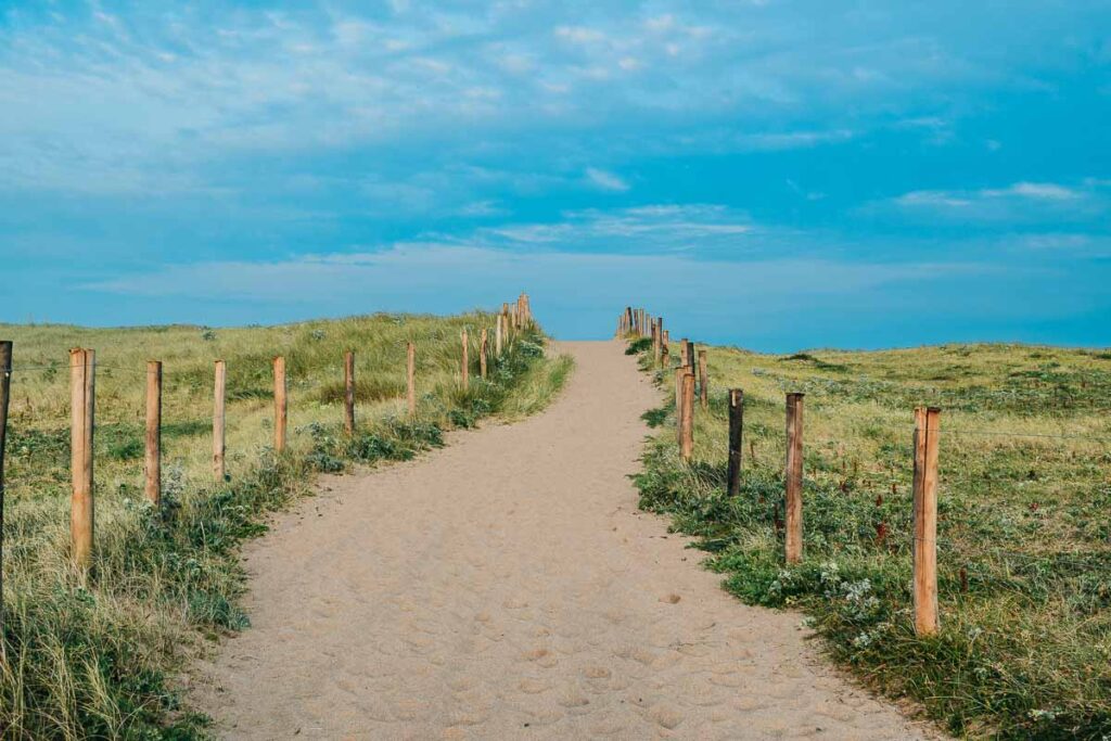 sand dunes with grass and blue sky at Camping de l'ocean Brem Sur Mer