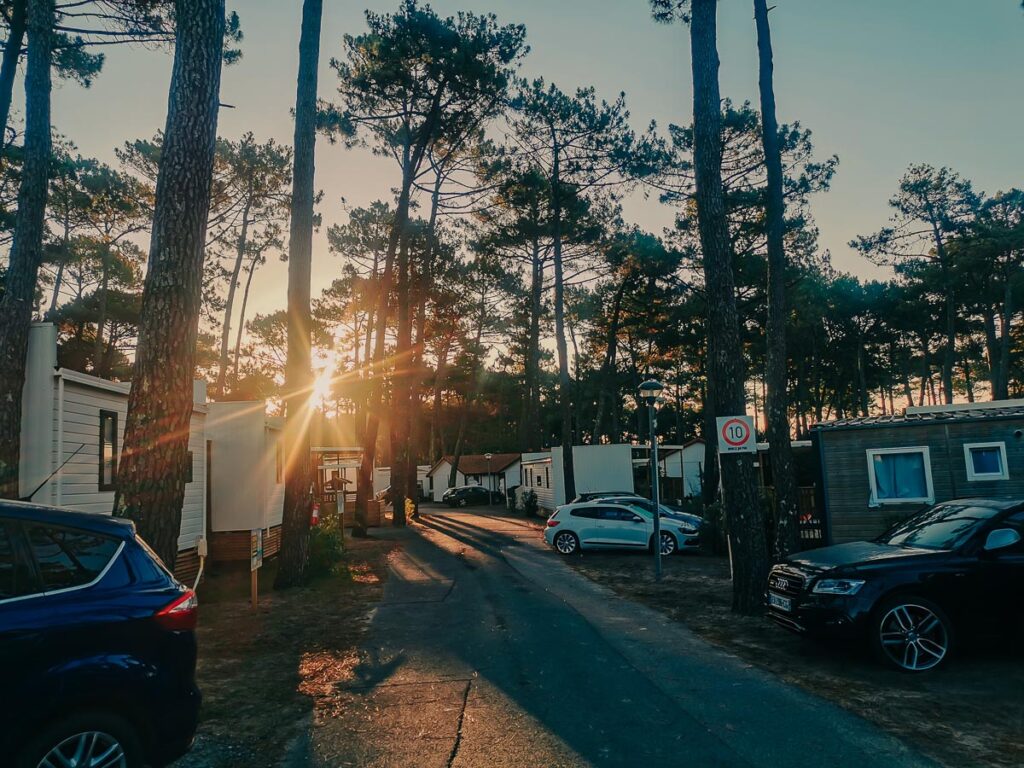 Sunset through pine trees and mobile homes at camping le vieux port by Resasol in Messanges, Landes department, France