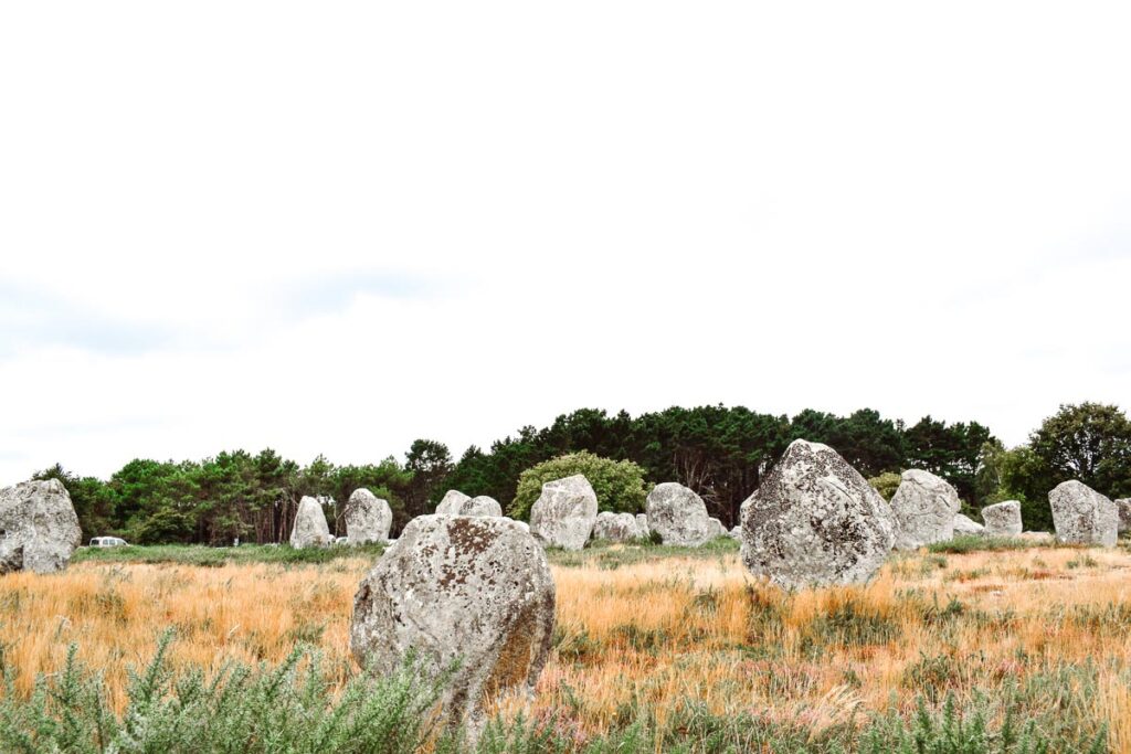 The stones in Carnac from our train stour At Des Menhirs Campsite in Carnac (1)