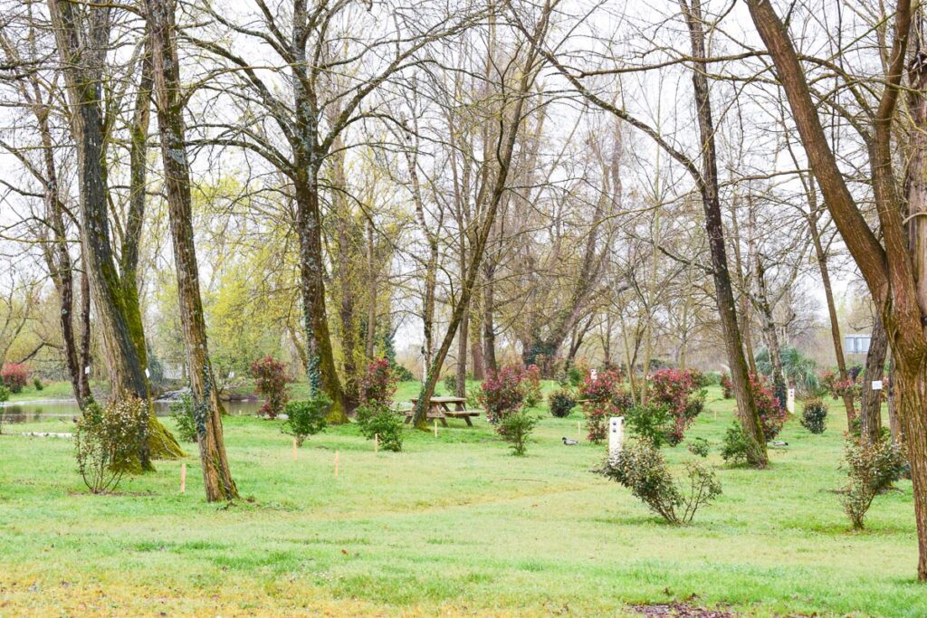 Nature and green at Yelloh Village Camping Bordeaux Lac (14)