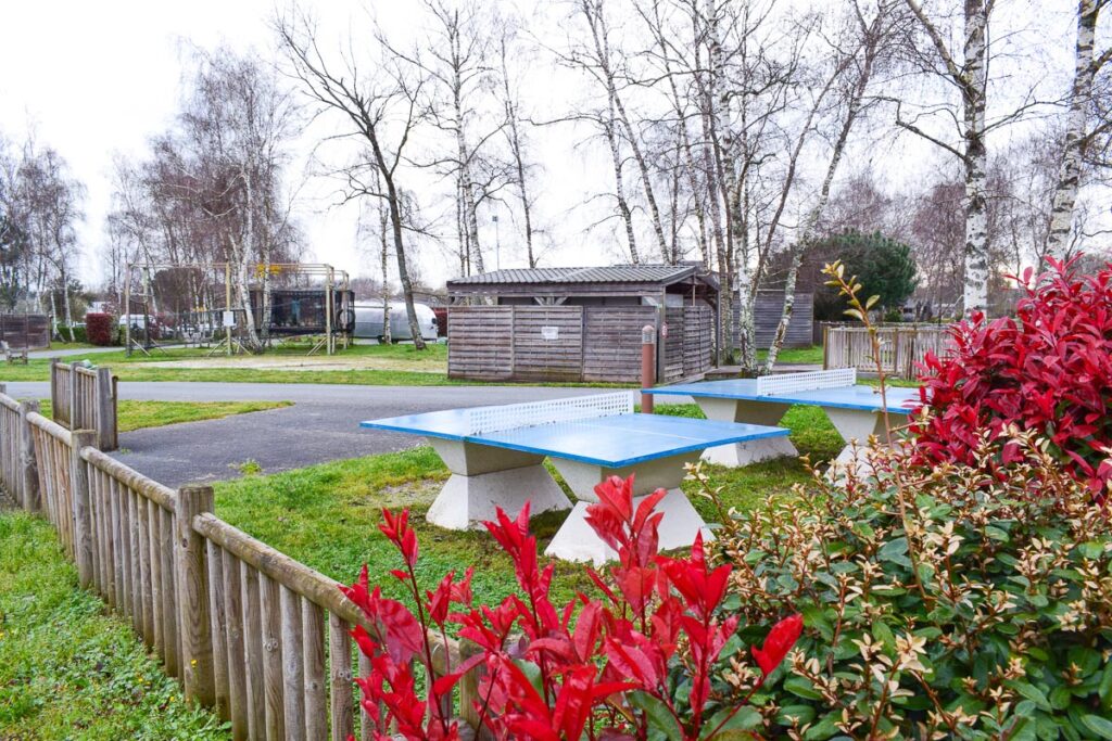 Flowers and table tennis court at Yelloh Village Camping Bordeaux Lac (15)