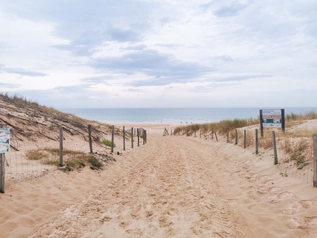 Beach and dunes near Camping natureo in Hossegor-12