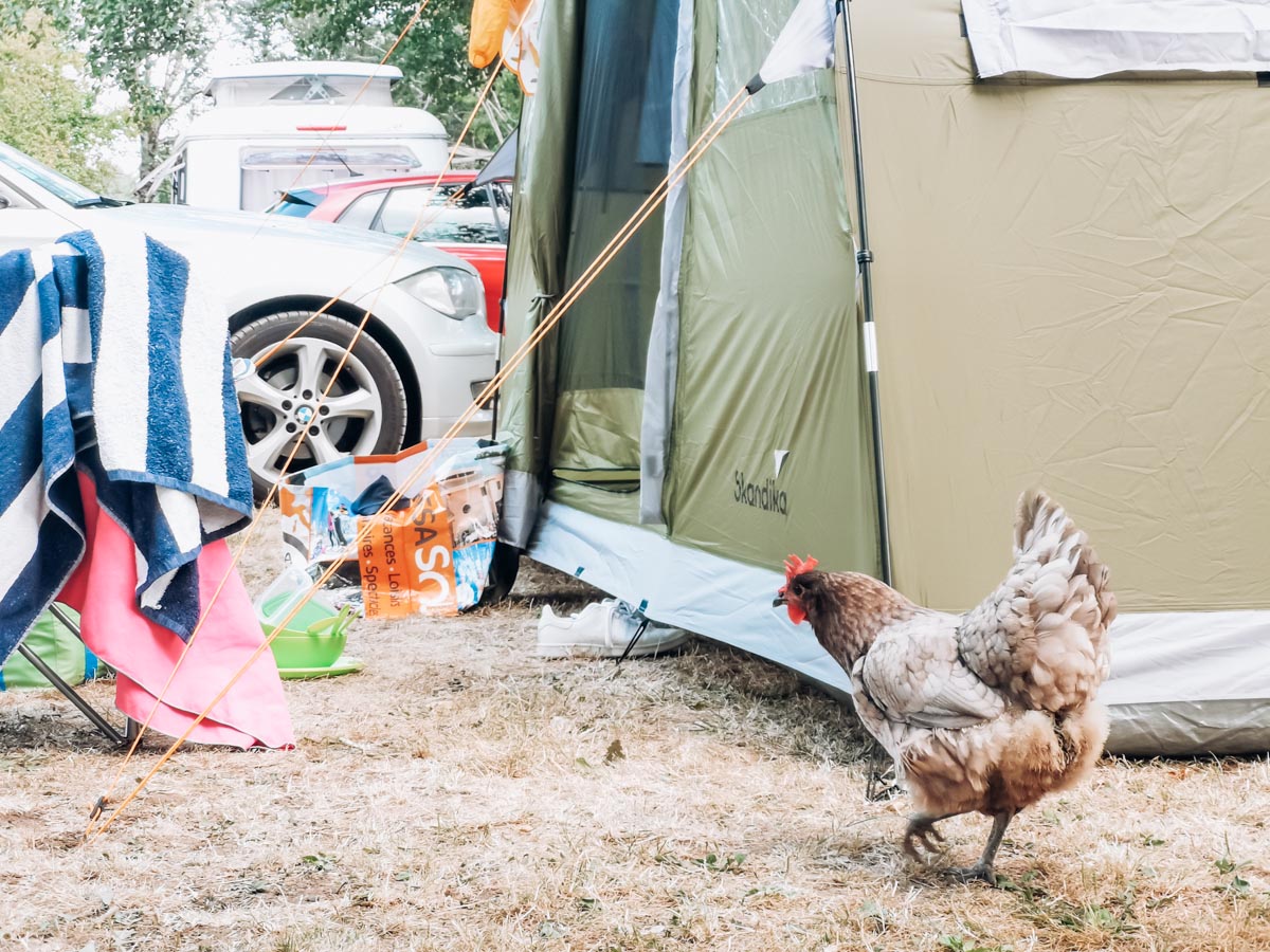 Camping Le Rivage Civraisien Review