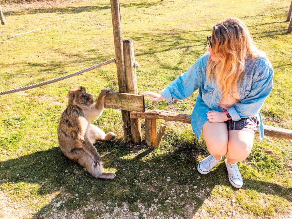 Valee de singe Breanne sat with a monkey from the monkey village near the Charente