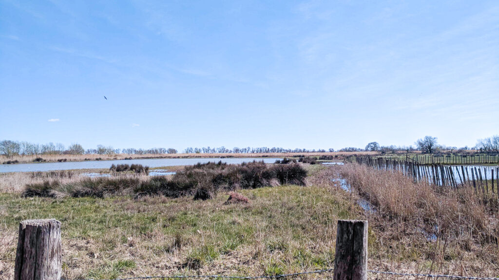 photo of the maidon de la nature nature reserve in montpellier