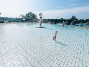Outdoor-swimming-pool-at-hoburne-bashley-park-campsite