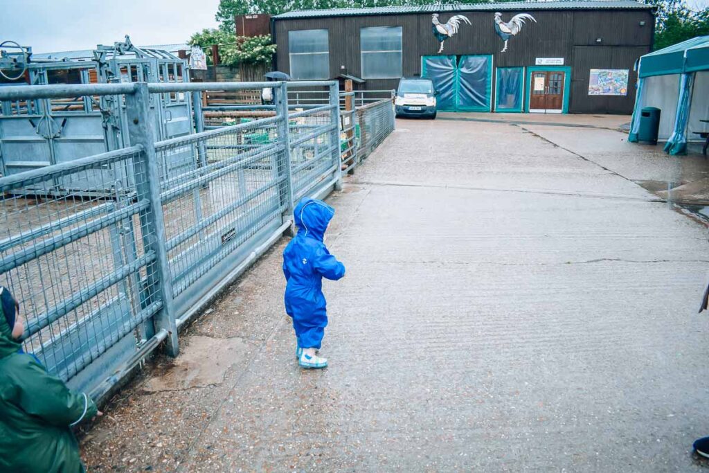 longdown-activity-farm-iun-the-rain