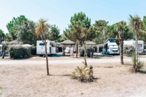 VIP camping pitches with a palm tree and caravans in the background at camping sylvamar yelloh village campsite