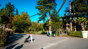 tree top climbing area at les ormes campsite