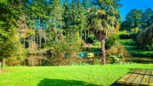 lake with pedalos at domaine des ormes