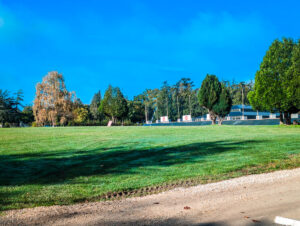 greenery on les ormes campsite