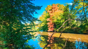 beautiful colours of autumn with green and brown trees at domaine des ormes