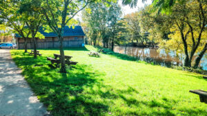 beautiful green scenery at domaine des ormes