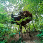 Parc de Fierbois Review