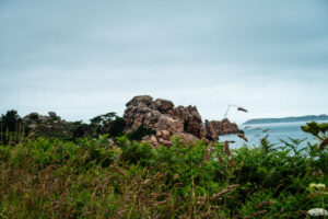 scenery nearby the campsite