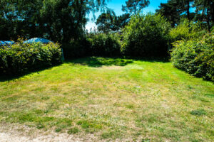 our freshly mowed pitch