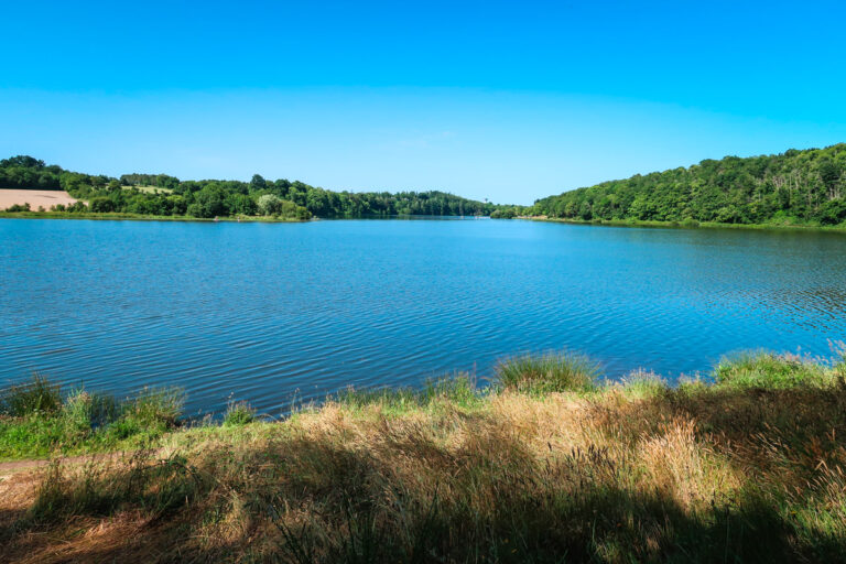 Lac du Jaunay next to Le Pin Parasol