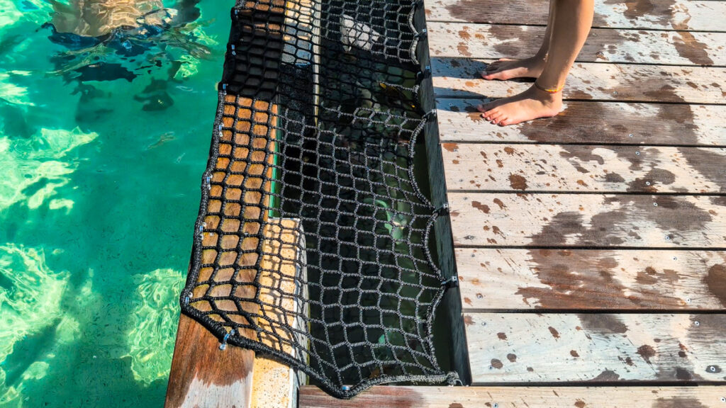 fish in between the two swimming pools at camping cote d'argent