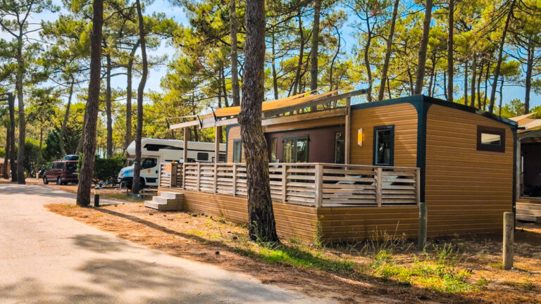 A holiday home in the pines at Côte d'Argent